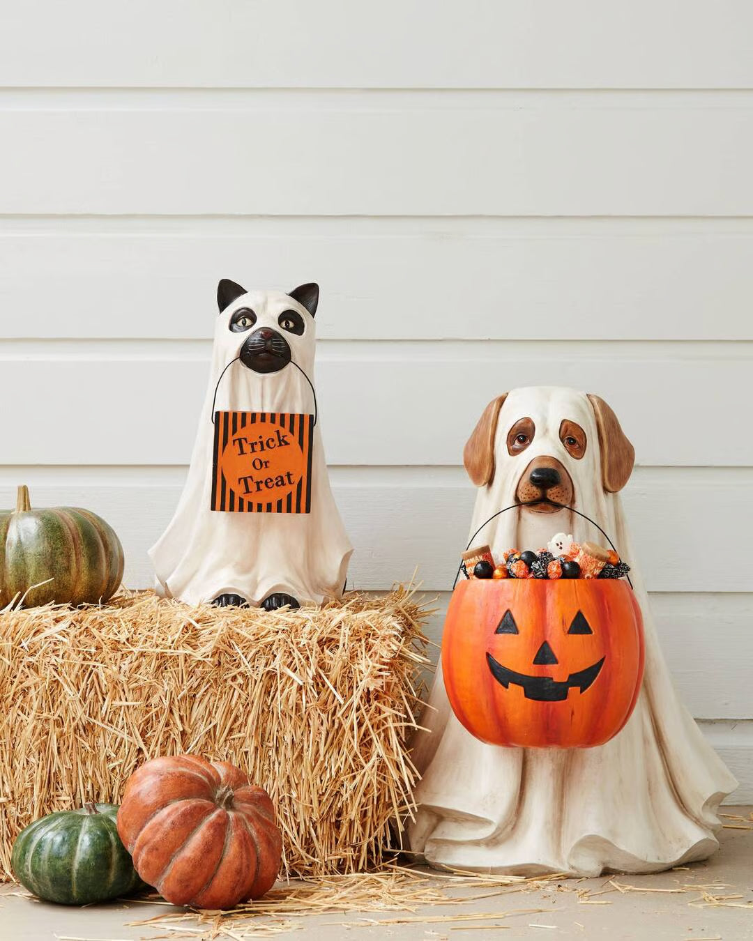 🎃🔥Ghost Dog & Cat Candy Bowl